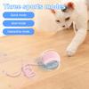 Interactive Cat Toy Ball USB Rechargeable Automatic Rolling Ball Self Rotating Ball Funny Cat Toys for Indoor Cat Kitten
