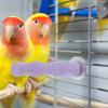 Natural Wood Bird Perch 14Cm Sand Grinding Stand Parrot Nail Trimming Cage Accessories for Small Medium Large Birds African Grey