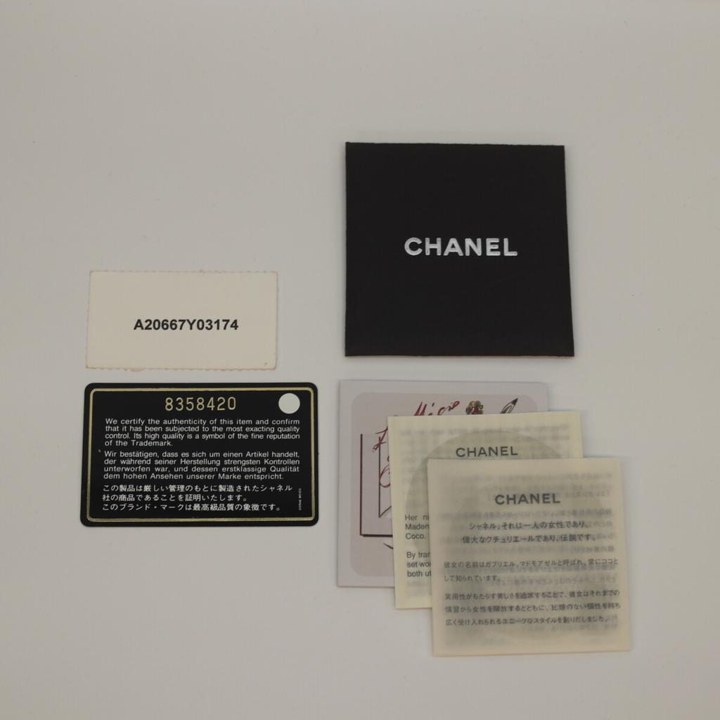 Chanel No. 8 Brown Wild Stitch Double Zipper Mini Boston Bag Boston Bag BrownUsed