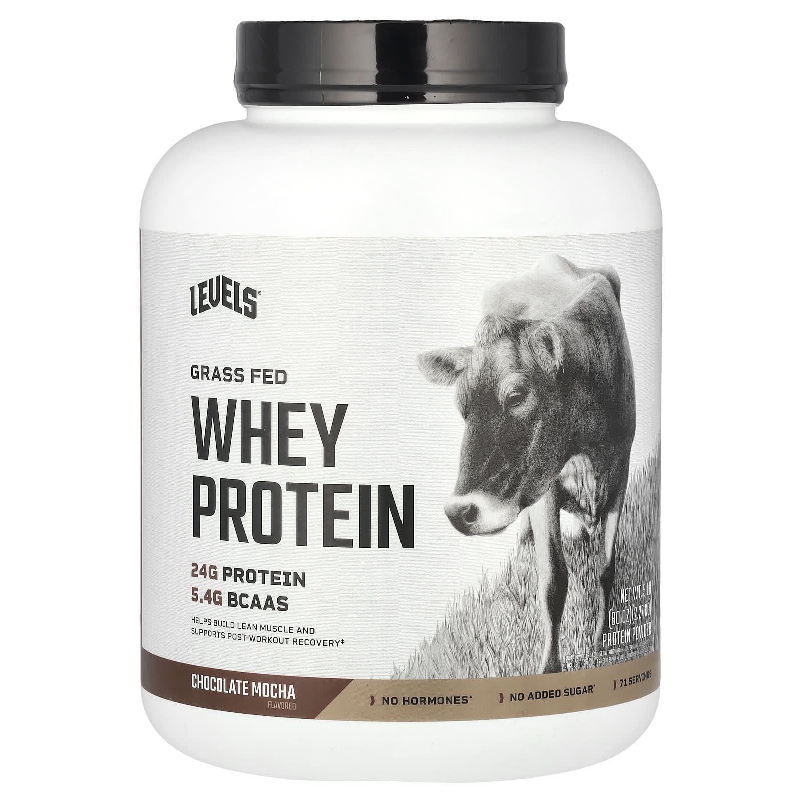 

Grass-Fed Whey Protein Powder, Chocolate Mocha, 2.27Kg (5Lb)