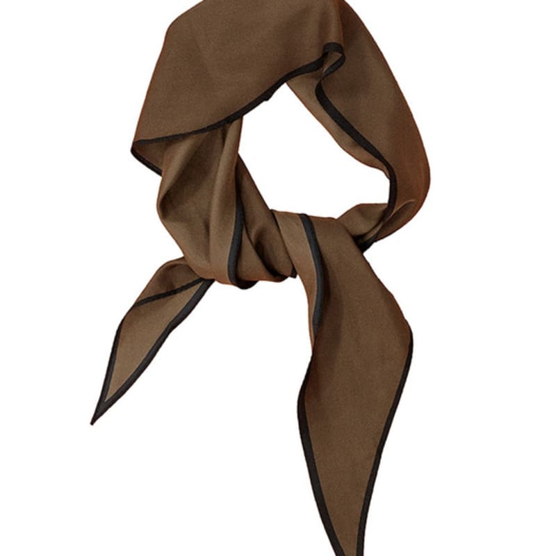

pelote Silk Coloured Scarf (Brown) FREE