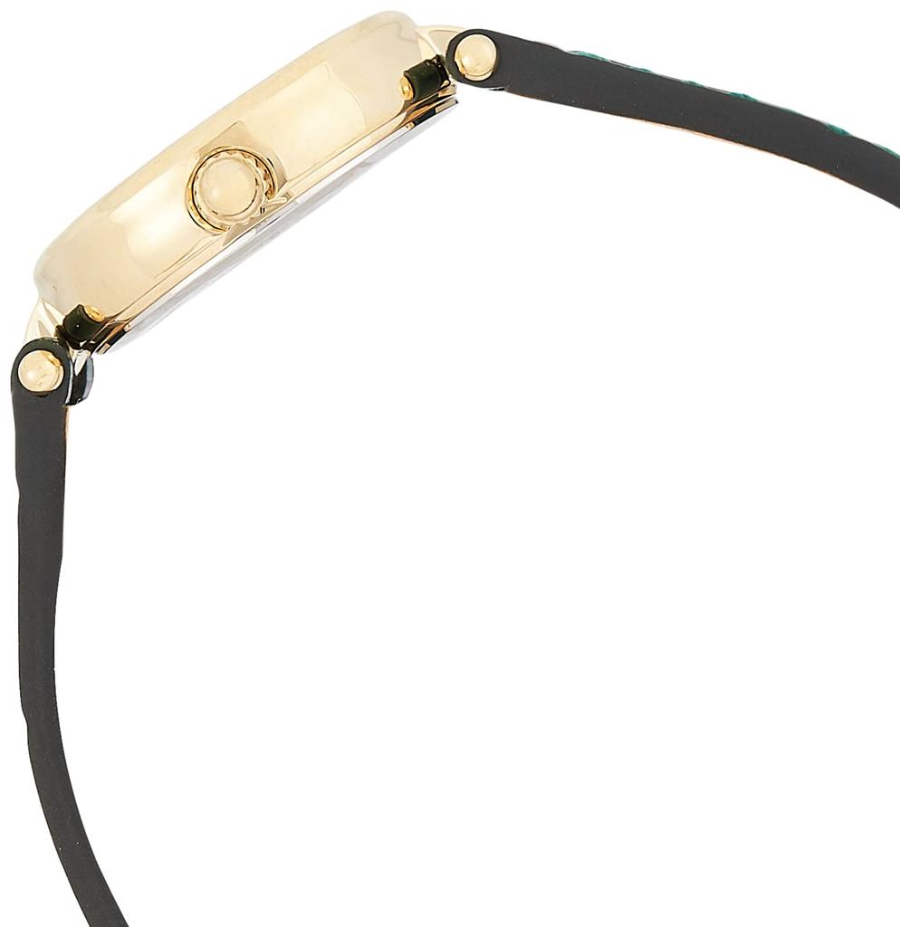 Coach PARK Official Import Watch, 14503534, Women's, Green,