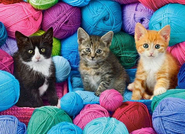 Puzzle 300 B-030477 Kittens in Yarn Store