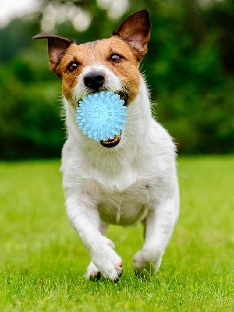 Dog Chewing Toy Interactive Rubber Ball for Small Large Dog Cat Pet Tooth Cleaning Indestructible Footprint Ball Pet Accessories