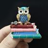 Broche Chouette Livre Classique Émaillée pour Femmes Unisexe Strass Animal Oiseau Broches Événement Fête Nouveaux Cadeaux Bijoux Décoration Accessoires