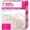 Cold Ceramic Powder - GRAINE CRÉATIVE - 1 Kg - White Color - Precise Molding - Mixed