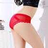 Women's Sexy Panties Lace See Through Underwear Low Rise Thin Mesh Sheer Underpants Breathable Bikini Briefs