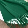 Luxury Brand Design Solid Cashmere Scarf for Women Winter Pashmina Blanket Lady Warm Thicken Shawl Wrap Tassel Echarpe Poncho