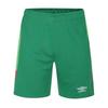 Childrens/Kids Regular Football Goalkeeper Shorts