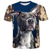 Summer Round Neck Animal Dog Pattern 3D Print Top Fashionable Casual Short Sleeved Men's T-shirts