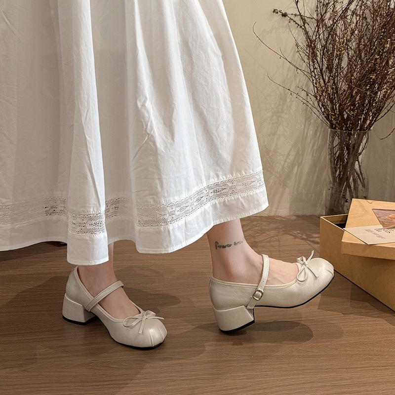 French Gentle Fairy Style Mary Jane Shoes Girl 2025 Spring and Autumn New Thick Heel Jk Single Shoes with Skirt Small Leather Shoes