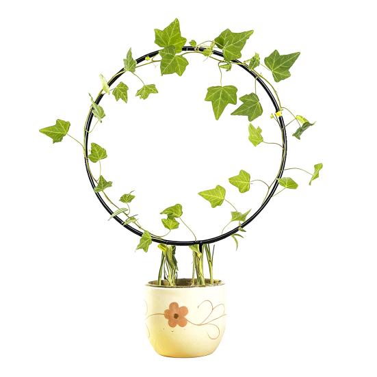 Plant Circle Trellis Climbing Plants Coated Wire Trellis Planter Insert Heart Shape Trellis Small Plant Support Stakes for Flowers Houseplants Garden