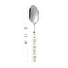 Abay Stainless Steel Dinner Spoon with Ceramic Pearl Handle
