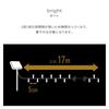 UP STORE Outdoor Solar-Powered Illumination Lights [Choose from 6 Colors Waterproof, 8 Lighting Patterns, 200 or 300 Bulbs] Garden Lights with Memory