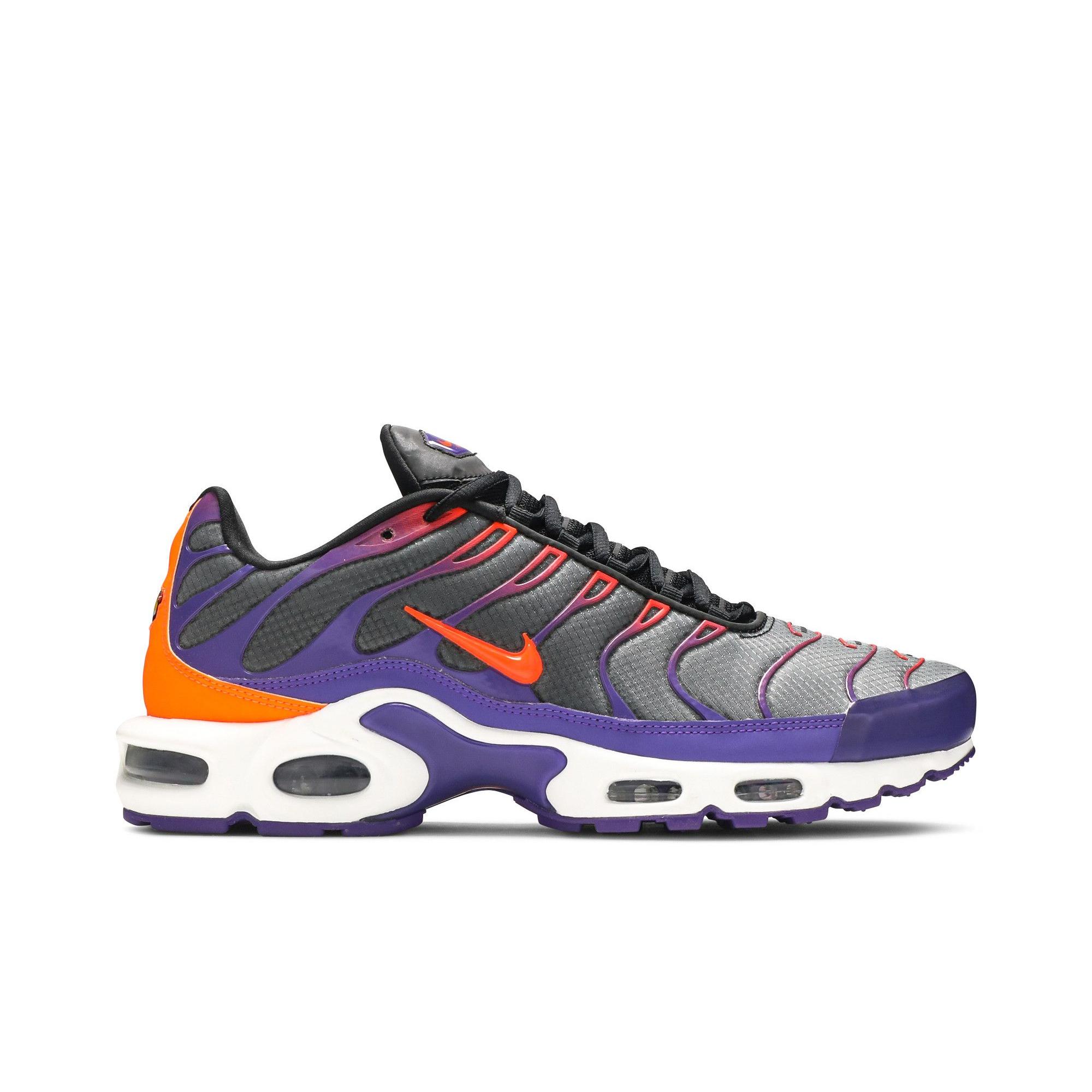 Nike Air Max Plus `Color Flip`