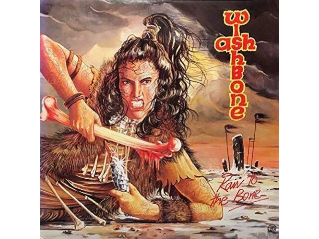 

WISHBONE ASH RAW TO THE BONE JAPAN MINI LP BLU-SPEC CD BONUS TRACK WSBAC-0111