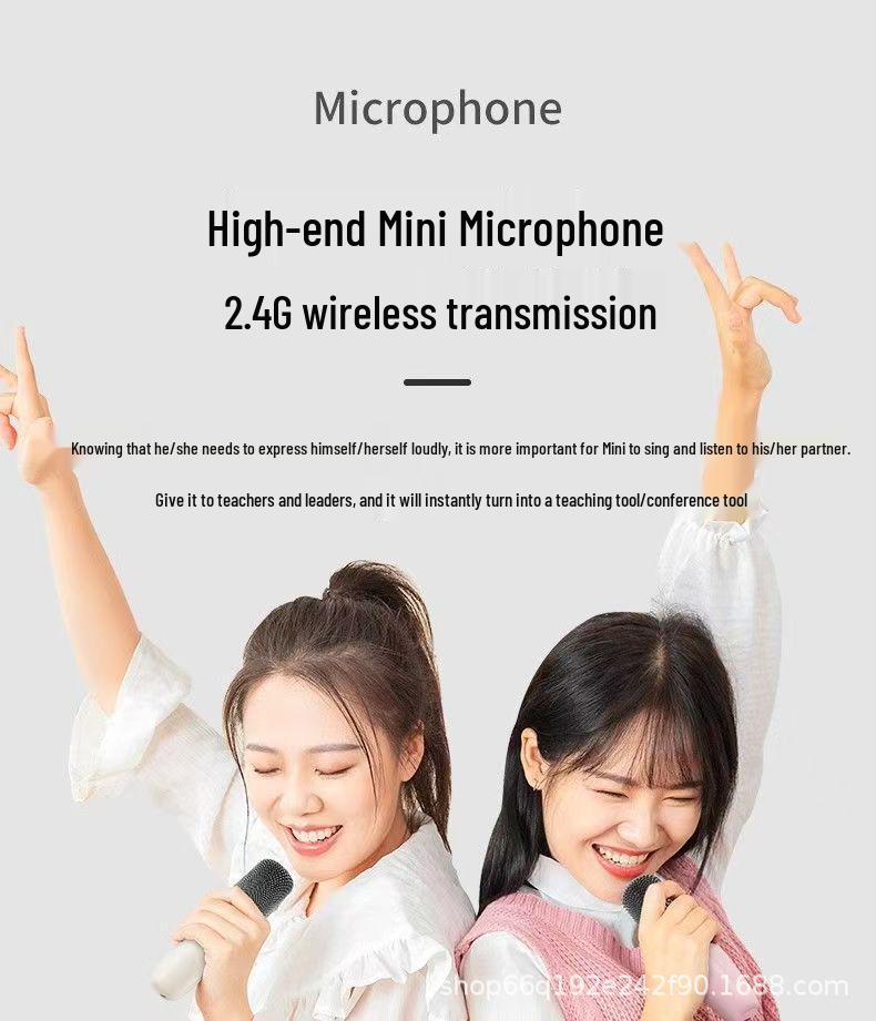 All-in-One KTV Bluetooth Karaoke Speaker with Wireless Microphone for Kids