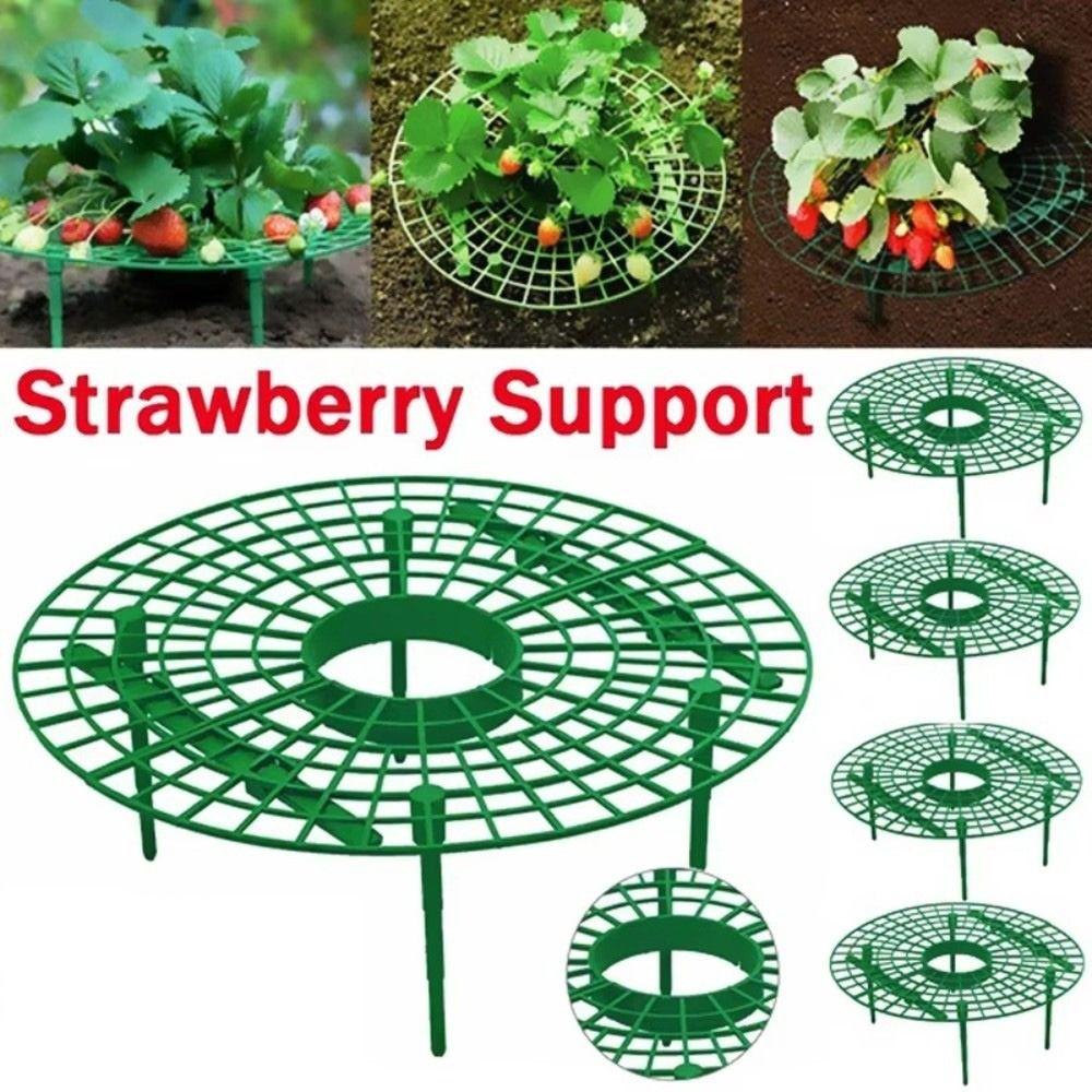 Avoid Ground Strawberry Planting Rack Keeping Plant Strawberry Planting Frame Vegetable Growing