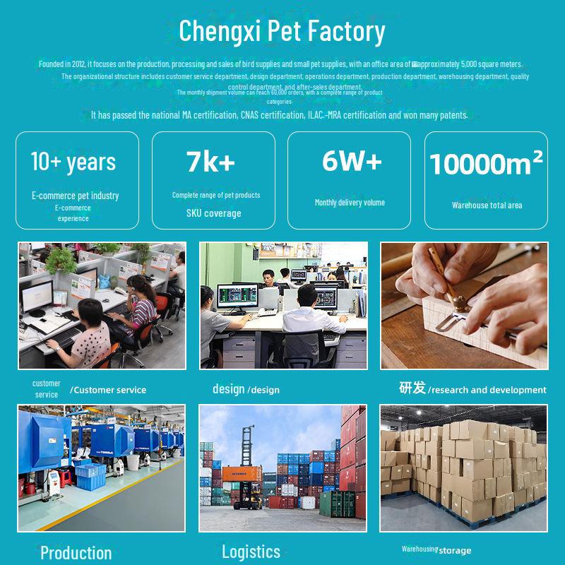 Golden Bear Hamster Exercise Ball with Carry Bag - Small Pet Toy