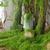 Building Model Material Durable Artificial Filamentous Moss Environmental Green Fake Moss DIY Polyester Moss Grass Living Room
