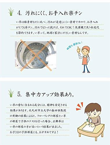 IKEHIKO Corporation IKEHIKO Shiranui Igusa Rug, Honma 1 Tatami Size (approx. 95 X 191 Cm), Made In Japan, Checkered Weave, Cypress Finish #6300181