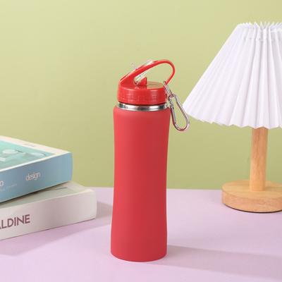Double-layer Sports Thermal Bottle 600/750ml Water Bottle Portable Straw Insulated Tumbler  Outdoor