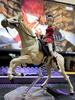 Cartoon 1/12 Horse Figure Figma Anime Action Animal Movable Horse Statue Collectible Model Dolls Desktop Decoration Gift Boy Toy