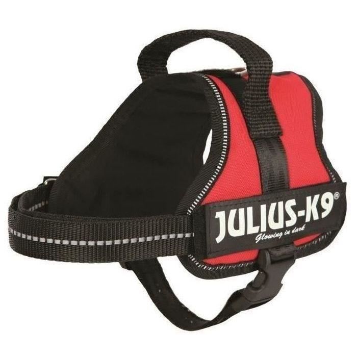 Harnais - Julius-K9 - Mini-Mini - Rouge - 40-53 cm - 22 mm