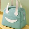 Lunch Bag Insulated Hand Carry Oxford Cloth Cute Large Capacity Lunch Box Bag for School  
