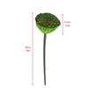 Romantic Artificial Lotus Handmade Fake Lotus Branch Simulation Lotus Leaf  Balcony