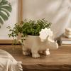 3D Printed Mini Flower Pot Desktop Decoration Small Storage Dinosaur Flowerpot  Balcony