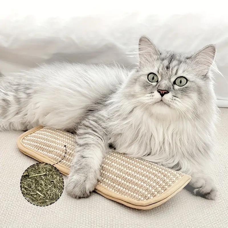Durable Cat Teething Toy – Catnip Pillow & Sisal Scratch Board for Dental Care & Entertainment