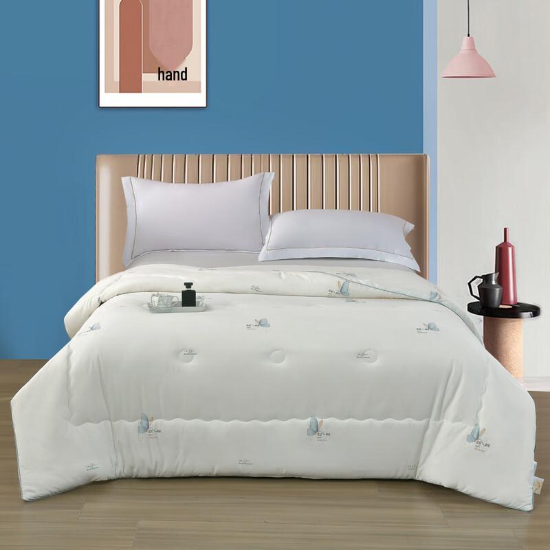 

Xuanyu All-Season Super Soft Moisture-Wicking Quilt