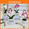 Phalaenopsis Artificial Pot Flower Bonsai For Event Decoration Prop And Home