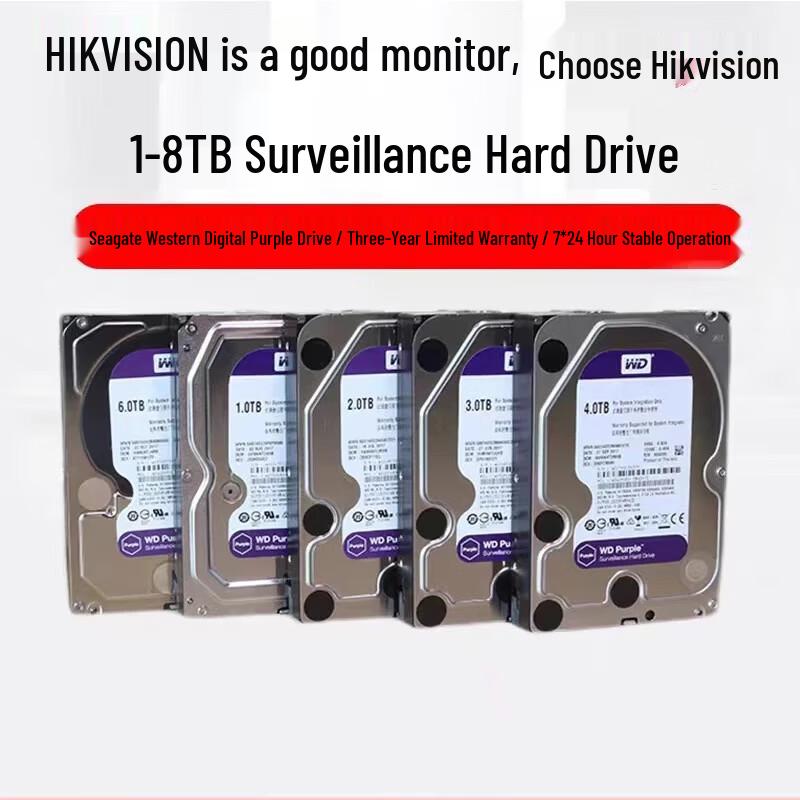 Zhi Shi 4TB Surveillance Hard Drive