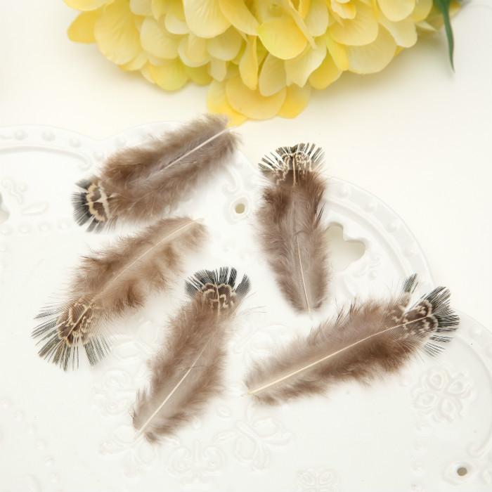 50Pcsdiy Jewelry Accessories Feather Diy Feather Headdress Corsage Hat Shoes Handicrafts Decorative Materials