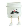 Decorațiuni pentru casă – Ghivece de flori decorative
