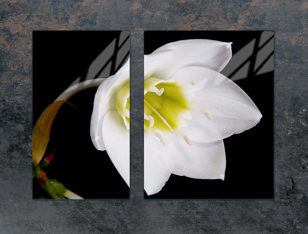 GLAS-KOCHFELD-SCHUTZPLATTE 70x52 ORCHIDEE