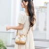 New Disney PU Bucket Bag, Shoulder Bag, Crossbody Bag, Handbag Women's Khaki BMK-71617P