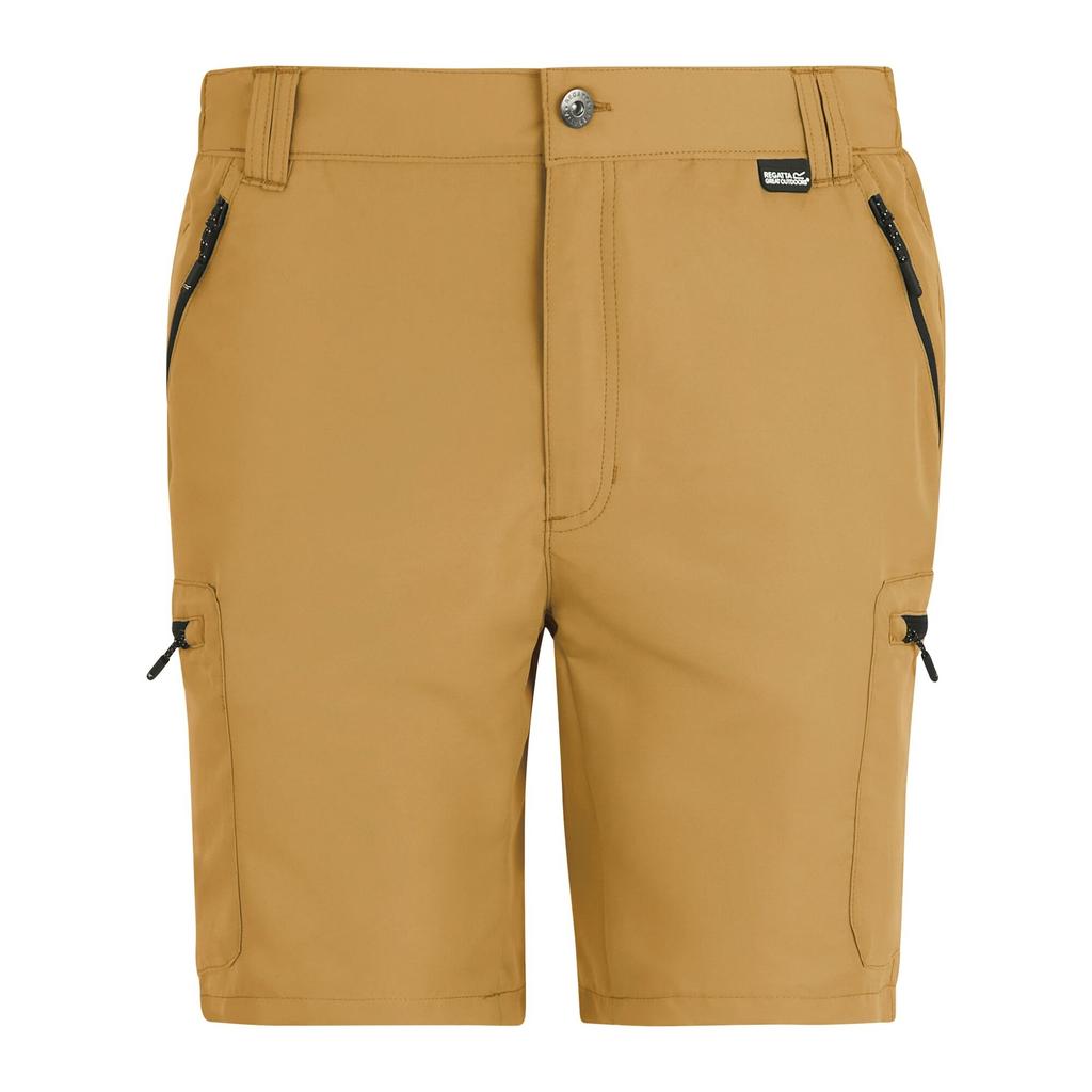 Regatta Mens Leesville III Shorts