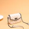 New Bag Women's Texture Versatile Diamond Chain Bag Simple Fashion Niche Shoulder Messenger Bag