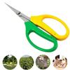 Stainless Steel Elbow Garden Pruning Scissors - Special Clippers for Grape Thinning, Fruit & Household Vegetable Cutting