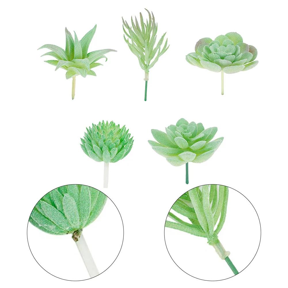 Artificial Succulents Plant Artificial Plant Vibrantly Colored Plastic Plants For Exhibition And Cafe Decoration 5pcs