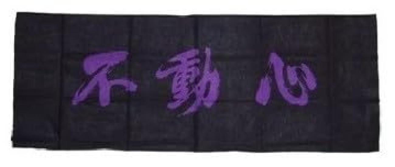 

Ayabe Budougu Kendo Hand Dyed Towel, Two-Color (Purple) Fudoshin фиолетовый