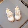 Youth style shoes Girls Loafers Fall Kids Shoes Soft Sole Princess Style Flat With