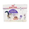Royal Canin Stealized Wet Cat Set Adult Cats with Good Appetites and Prone To Gaining Weight Due To Comes with Original Wet Tissues 48 (For