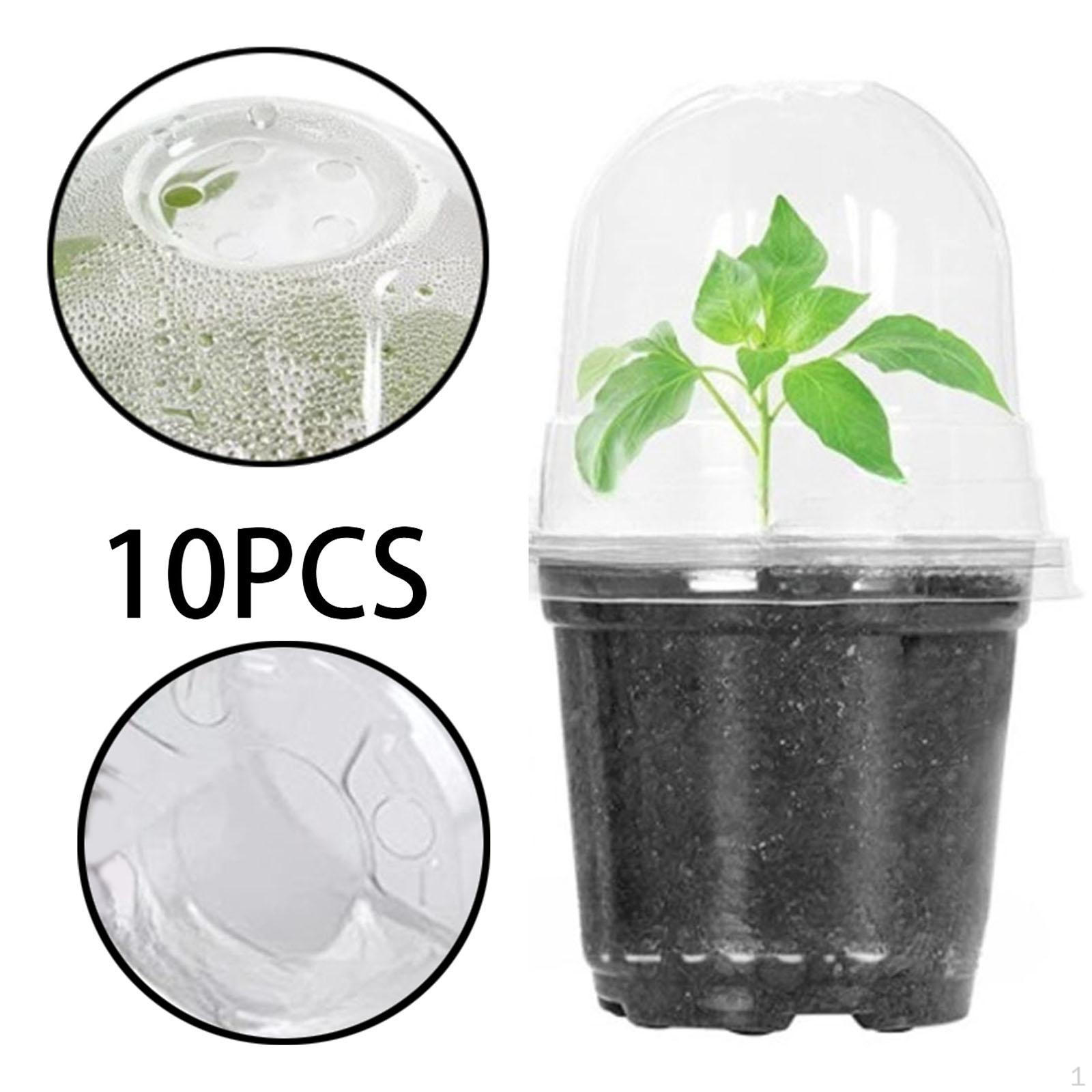 

10 садовых горшков с куполообразными лотками для начинающих, многоразовые моющиеся контейнеры для растений at The Top