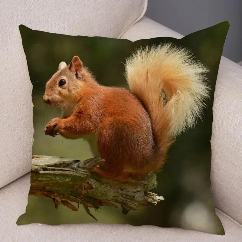 Cute Squirrel Cushion Cover Pillowcase Pillow Covers Home Decor Pet Animal Pillows Case Super Soft Polyester Pillows Covers