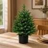 PE Christmas Tree with Planter Base Dense for Dining Area