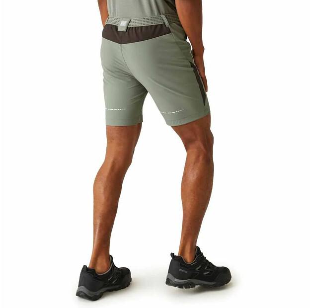 Regatta Шорты Mountain II